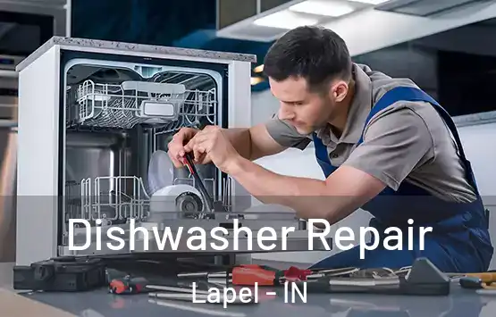  Dishwasher Repair Lapel - IN