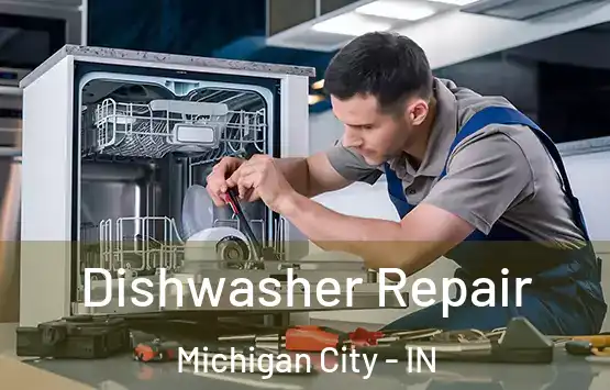  Dishwasher Repair Michigan City - IN