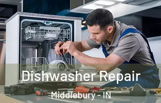  Dishwasher Repair Middlebury - IN