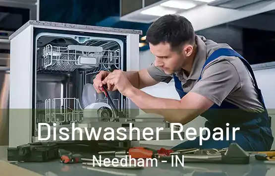  Dishwasher Repair Needham - IN