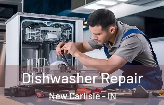  Dishwasher Repair New Carlisle - IN