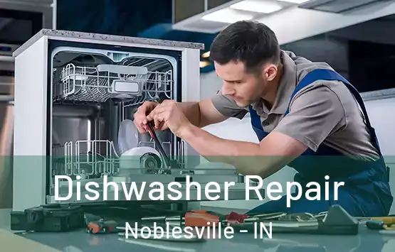  Dishwasher Repair Noblesville - IN