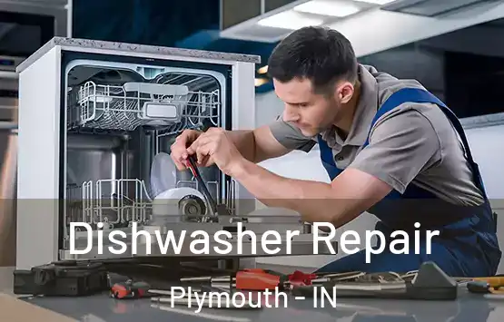  Dishwasher Repair Plymouth - IN