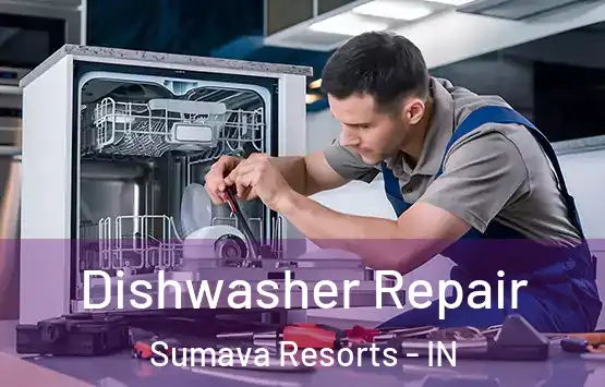  Dishwasher Repair Sumava Resorts - IN