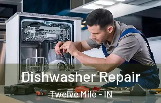  Dishwasher Repair Twelve Mile - IN