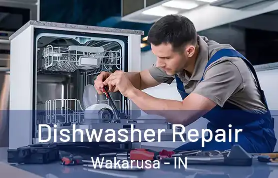  Dishwasher Repair Wakarusa - IN