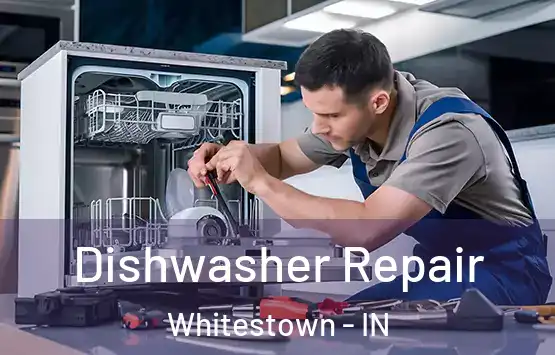  Dishwasher Repair Whitestown - IN