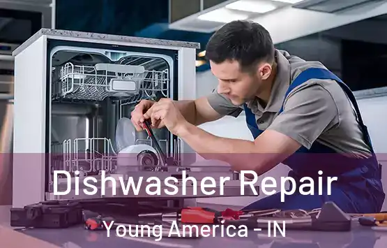  Dishwasher Repair Young America - IN