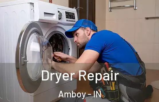  Dryer Repair Amboy - IN