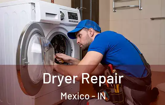  Dryer Repair Mexico - IN