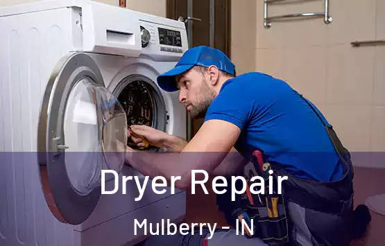  Dryer Repair Mulberry - IN