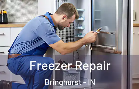  Freezer Repair Bringhurst - IN