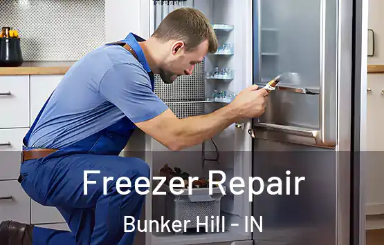  Freezer Repair Bunker Hill - IN