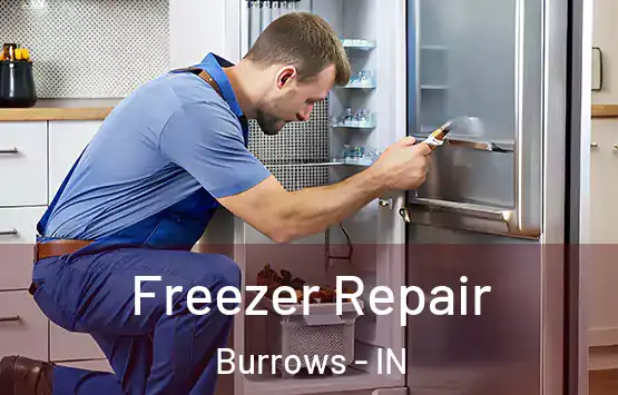  Freezer Repair Burrows - IN