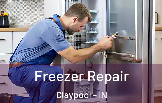  Freezer Repair Claypool - IN