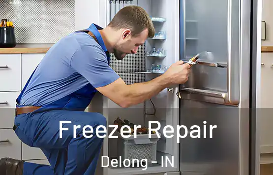  Freezer Repair Delong - IN