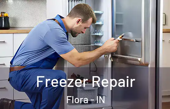  Freezer Repair Flora - IN