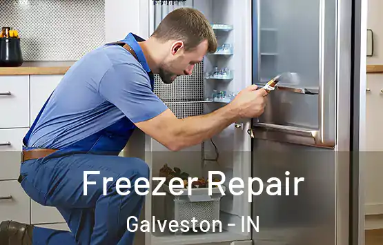  Freezer Repair Galveston - IN