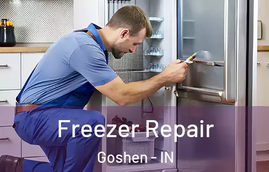  Freezer Repair Goshen - IN
