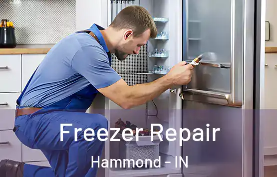  Freezer Repair Hammond - IN