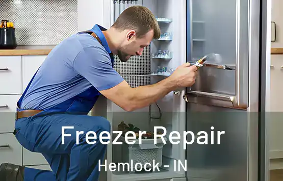  Freezer Repair Hemlock - IN