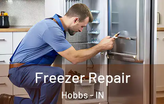 Freezer Repair Hobbs - IN