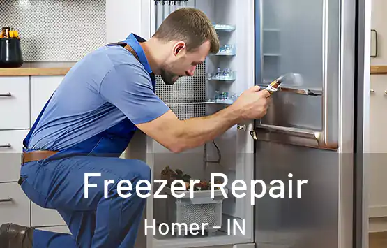  Freezer Repair Homer - IN