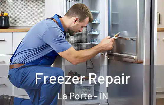 Freezer Repair La Porte - IN