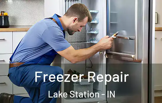  Freezer Repair Lake Station - IN