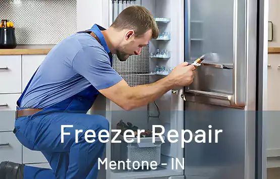  Freezer Repair Mentone - IN