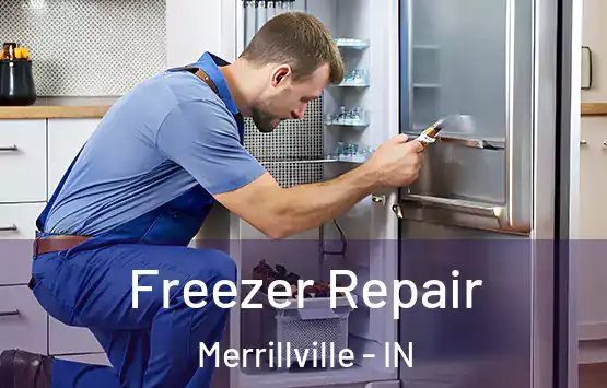  Freezer Repair Merrillville - IN