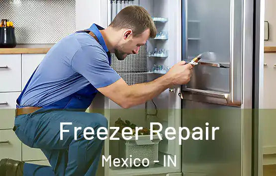  Freezer Repair Mexico - IN