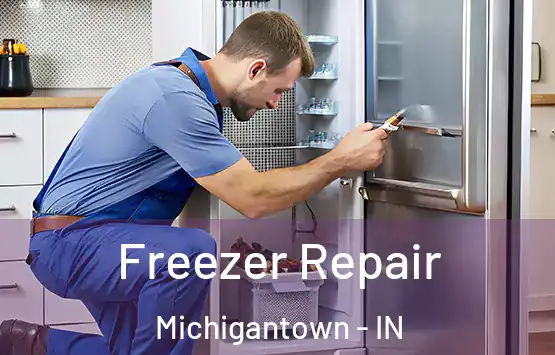  Freezer Repair Michigantown - IN