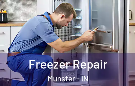  Freezer Repair Munster - IN