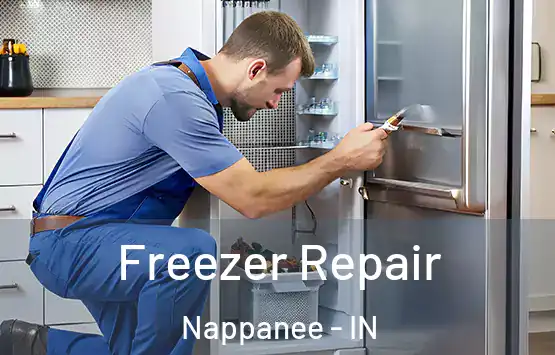  Freezer Repair Nappanee - IN