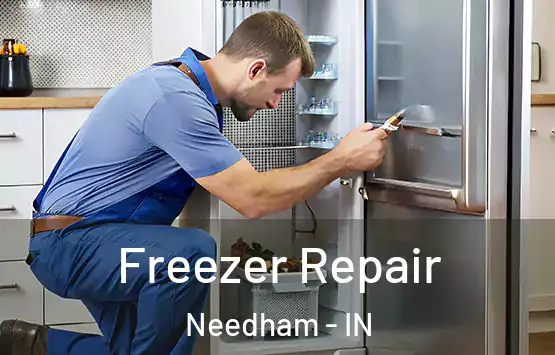  Freezer Repair Needham - IN