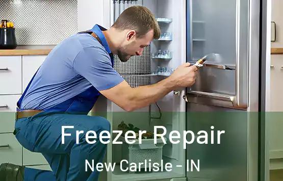  Freezer Repair New Carlisle - IN
