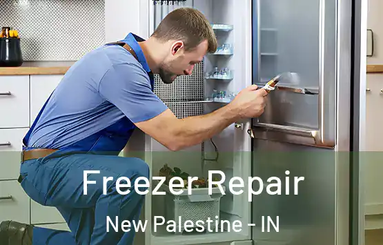  Freezer Repair New Palestine - IN