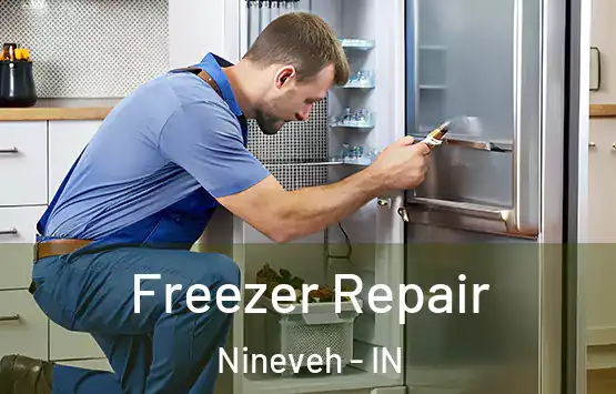  Freezer Repair Nineveh - IN