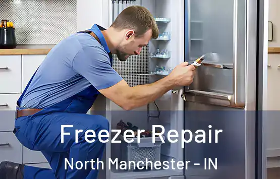  Freezer Repair North Manchester - IN