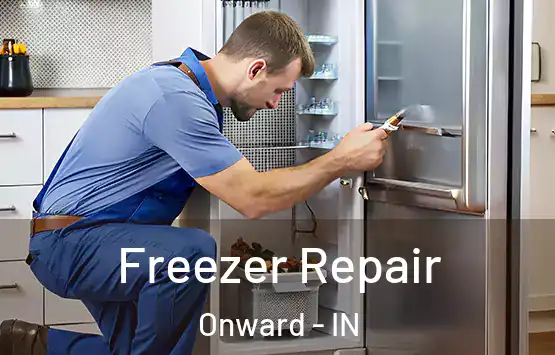  Freezer Repair Onward - IN