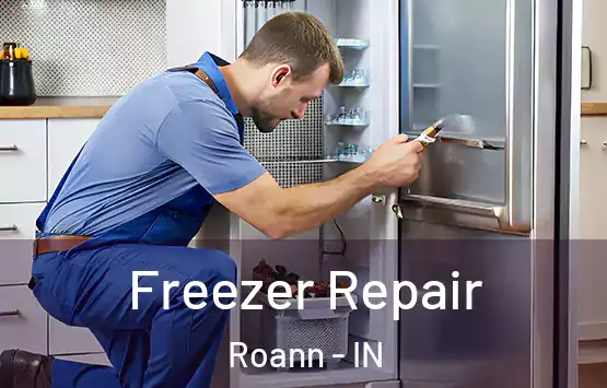  Freezer Repair Roann - IN