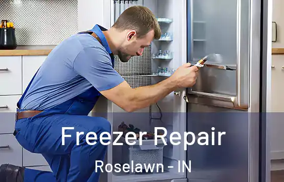  Freezer Repair Roselawn - IN