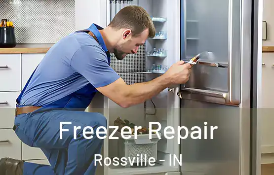  Freezer Repair Rossville - IN