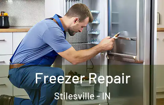  Freezer Repair Stilesville - IN