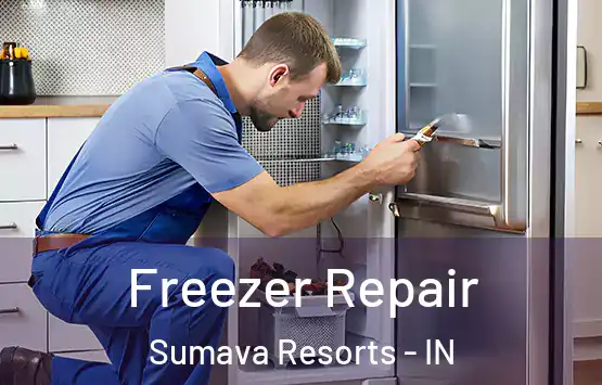  Freezer Repair Sumava Resorts - IN