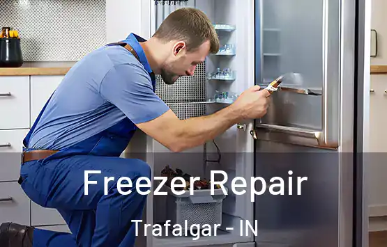  Freezer Repair Trafalgar - IN