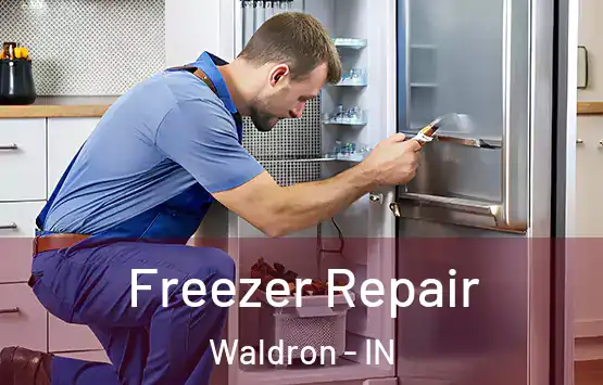  Freezer Repair Waldron - IN