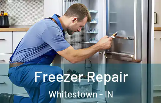  Freezer Repair Whitestown - IN