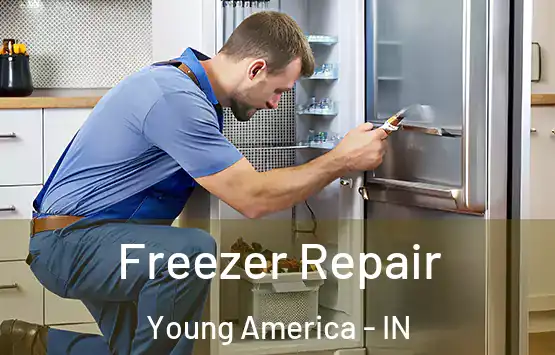  Freezer Repair Young America - IN